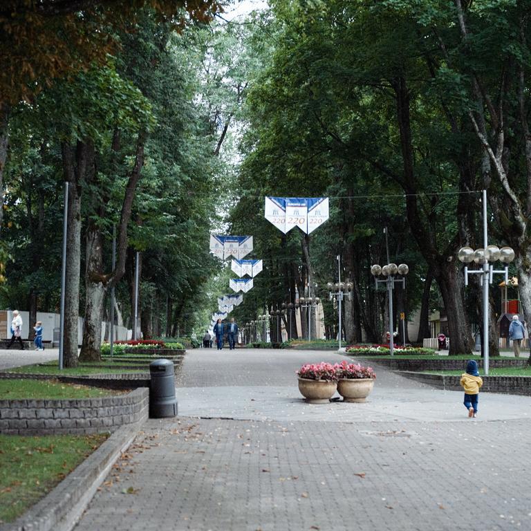 Domi Lini Apartman Druskininkai Kültér fotó